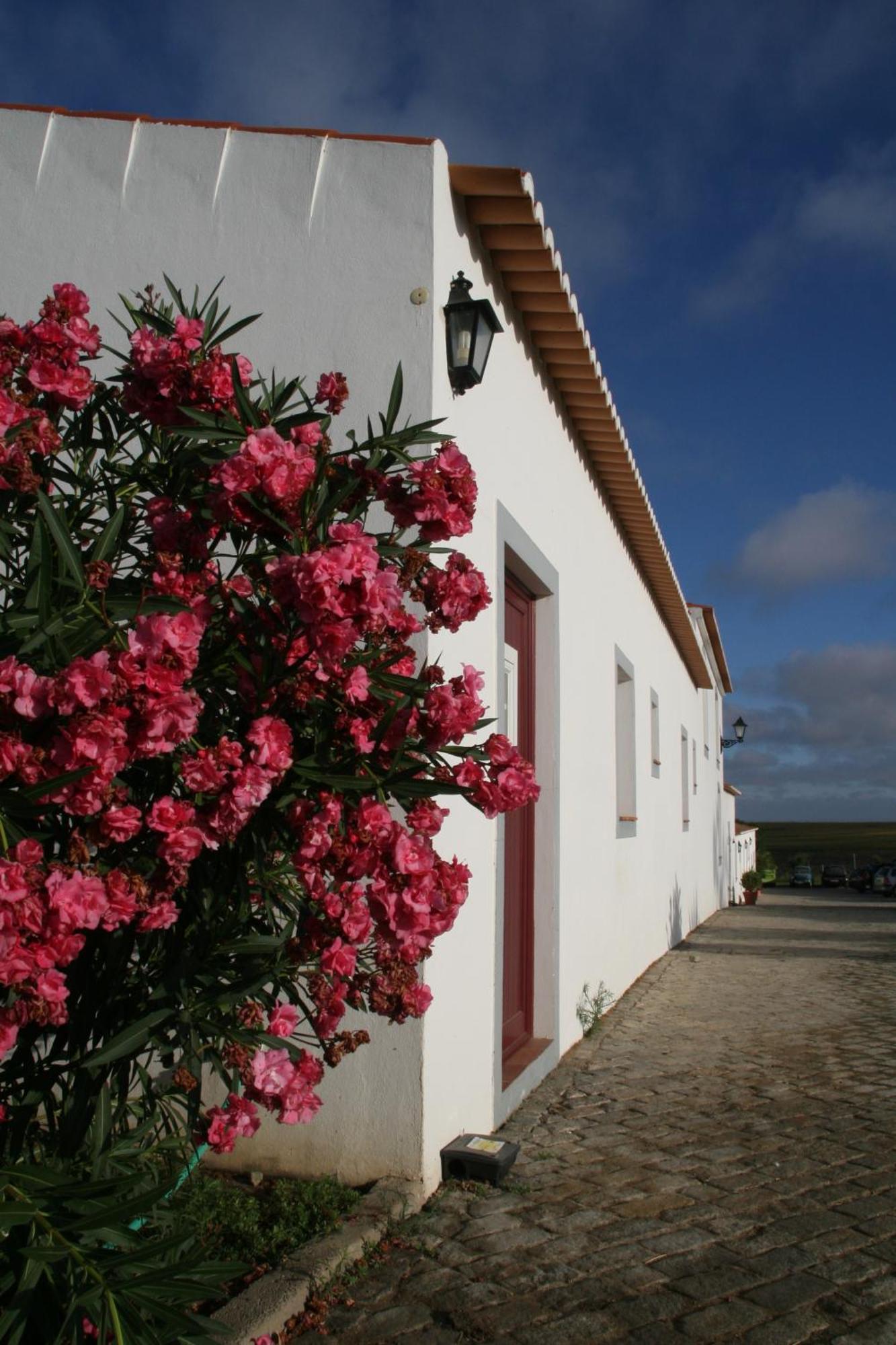 Monte Da Morena Agro-Turismo Serpa Eksteriør billede